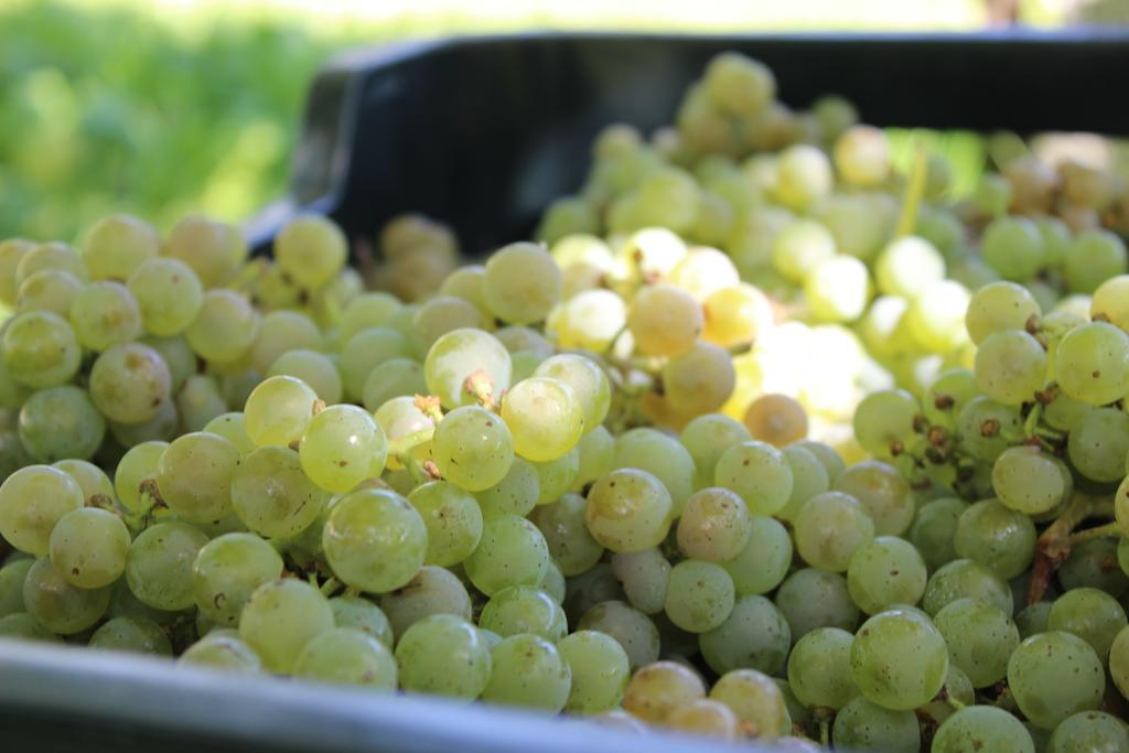 Os Areeiros Turismo Rural & Bodega Santa Cristina De Cobres Zewnętrze zdjęcie